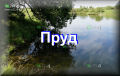 Пруд