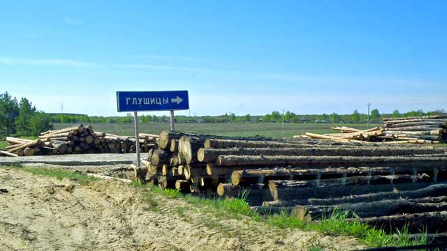 2011         -   ,  