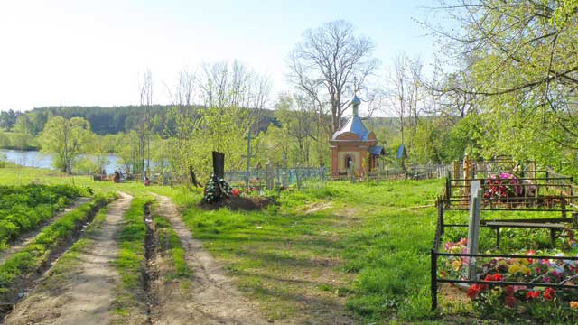 2011            