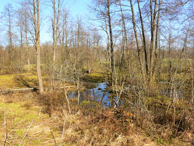 2008 ���� ������������� ������ ���� �������������� ������� ����������� ������ ���������� �������