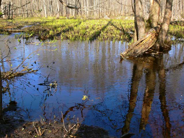 2008 ������ ������������� ������ ����������� � ����������� ���� �������������� ������� ����������� ������ ���������� �������