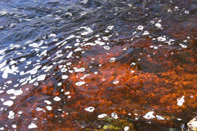 2008 � ��������� ������ ������������� ������������� � ����� ����� ���� ���� �������������� ������� ����������� ������ ���������� �������