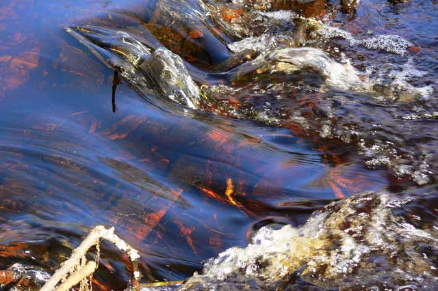 2008 ����������� ����� ���� ���������� �� ���������� ���������� � ���� ��������� ���� �������������� ������� ����������� ������ ���������� �������