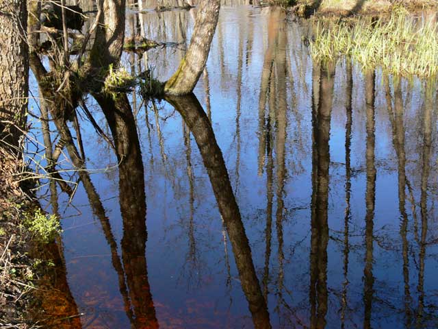 2008 �������� ������ �� ������������� ���� �������������� ������� ����������� ������ ���������� �������